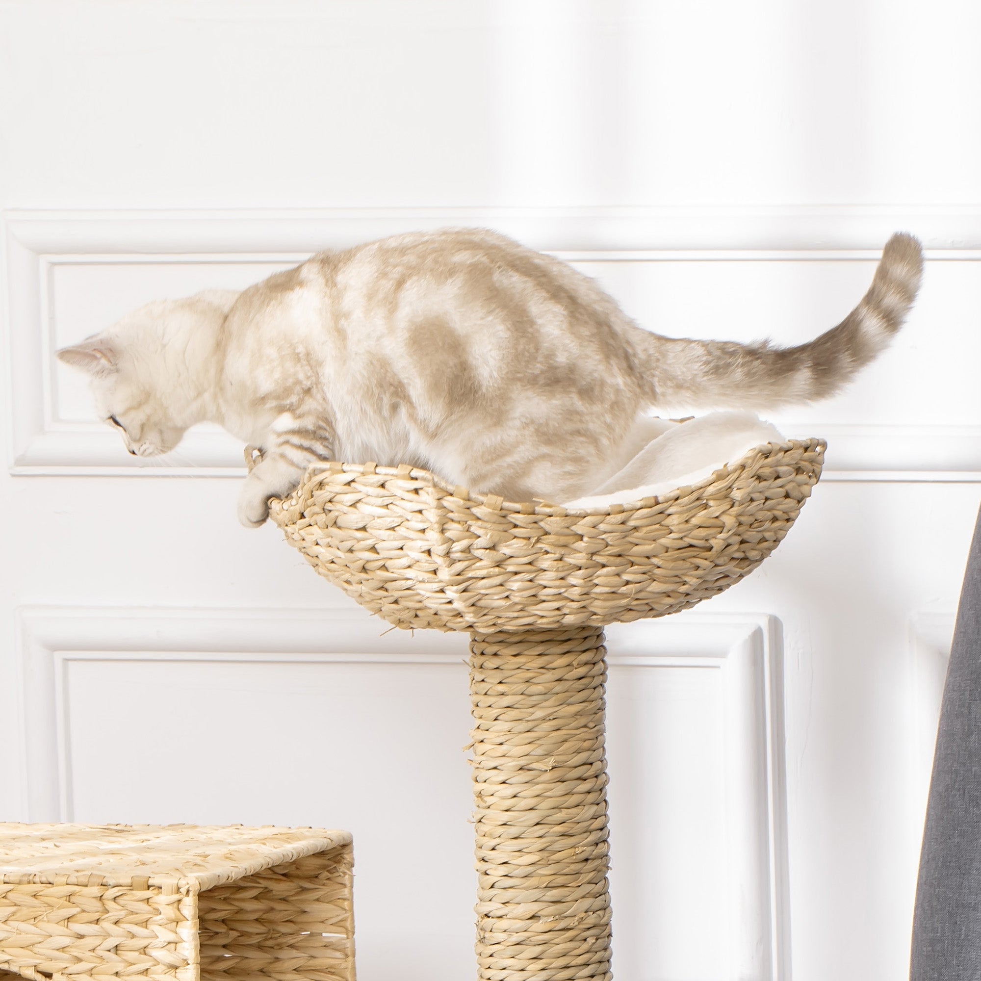 Arbre à chat arbre à grimper griffoir pour chat hauteur 100,5 cm avec coussins et échelle centre d'activités poteaux en quenouille