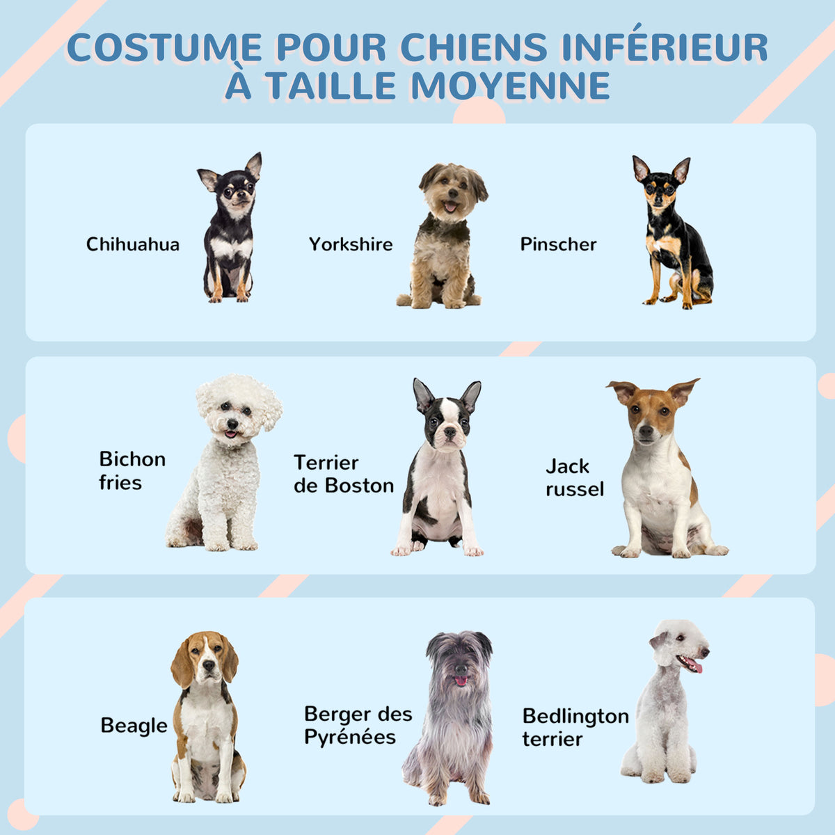 Niche pour chien chenil à l'extérieur en PP blanc pour chiens de petite et moyenne taille - 65 x 75,7 x 63 cm