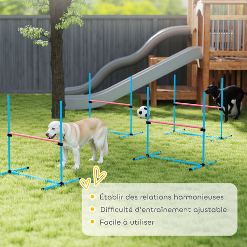 Agility Sport pour Chiens, Set de 4 Obstacles Professionnels avec Système de Maintien au Sol, 99x65x94cm, Bleu Clair